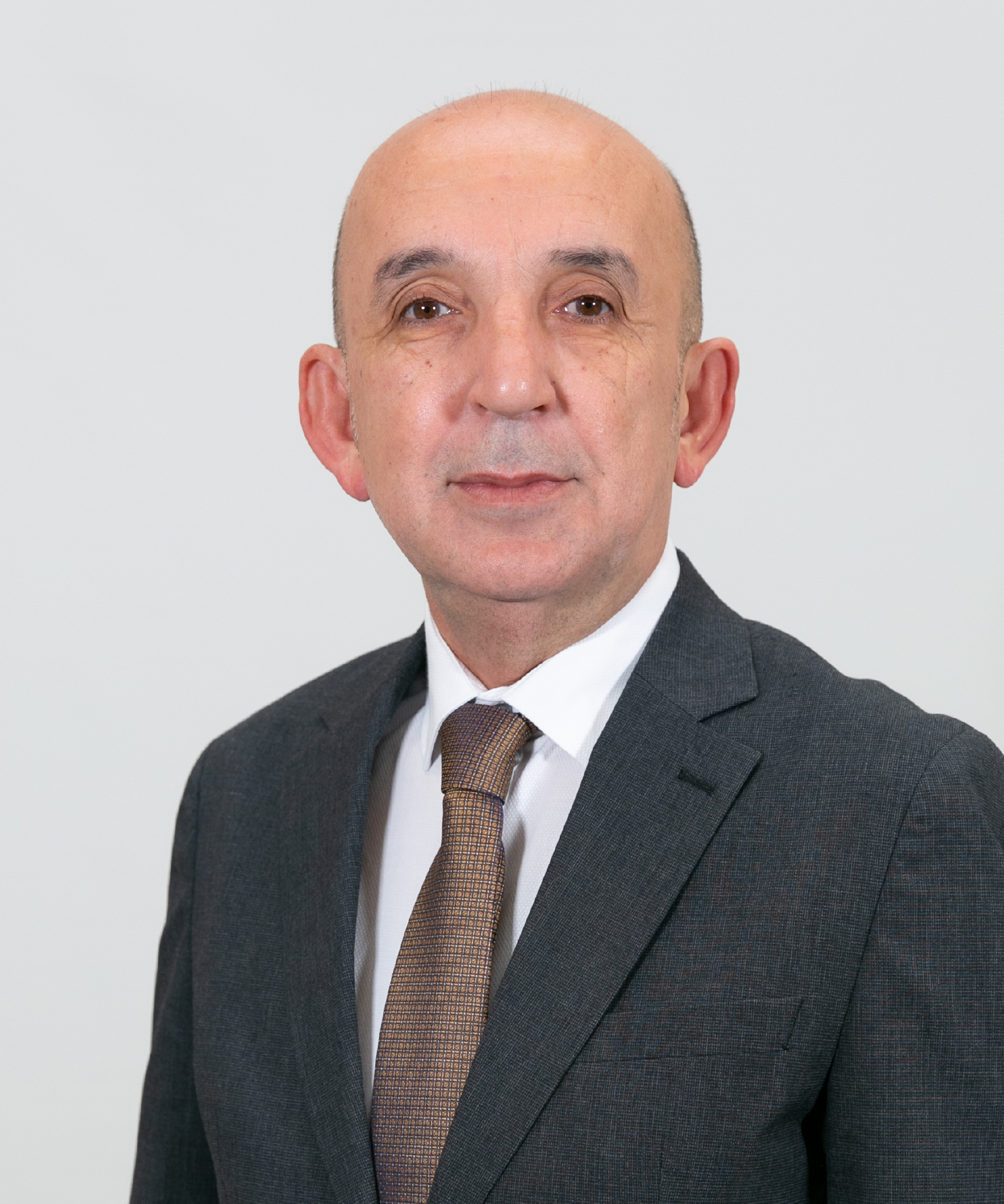 MEHMET ALİCANOĞLU