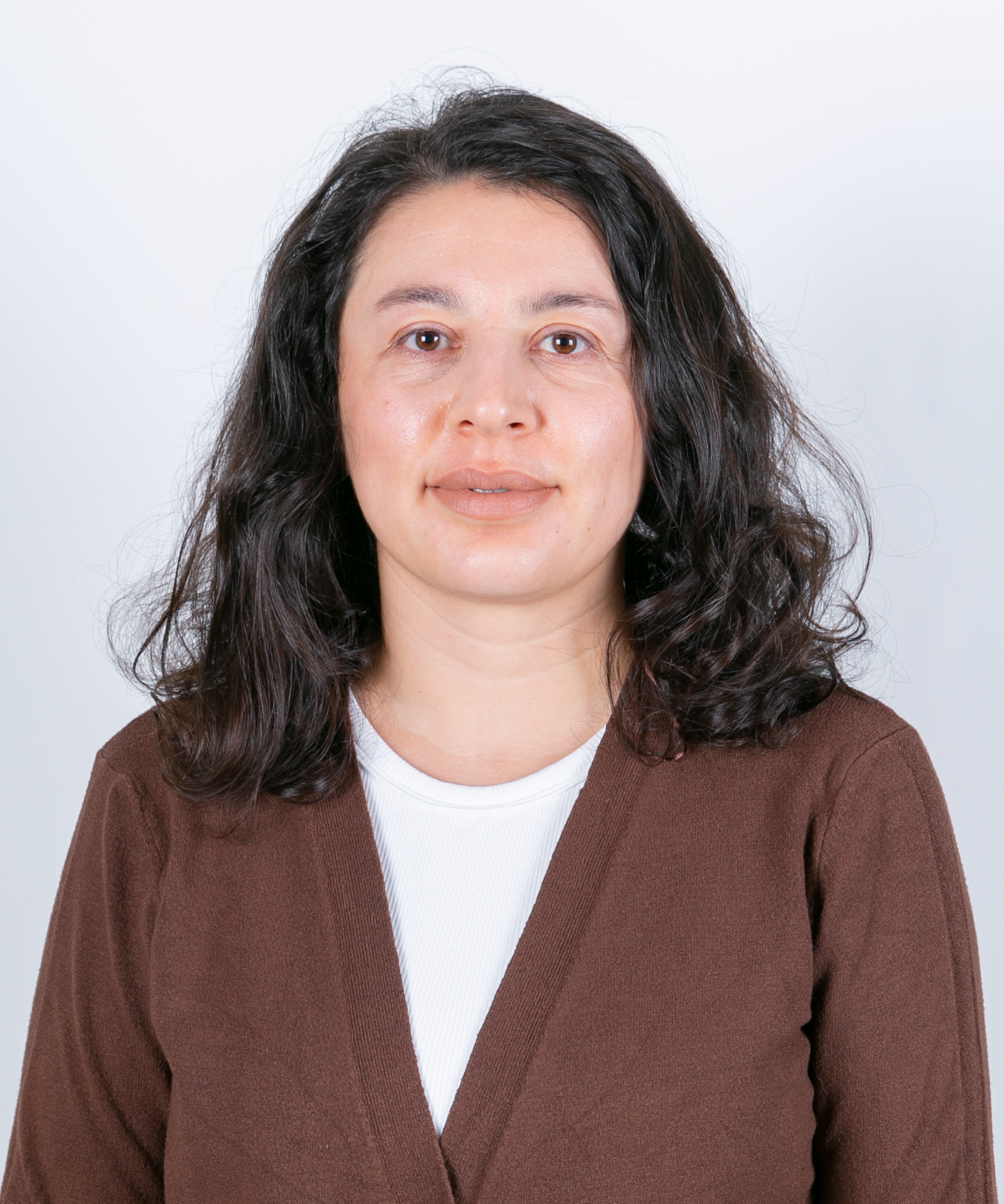 AYŞE DİLEK YEKELER GÖKMEN